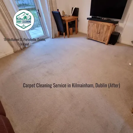 Homestay Shiny House Dublin